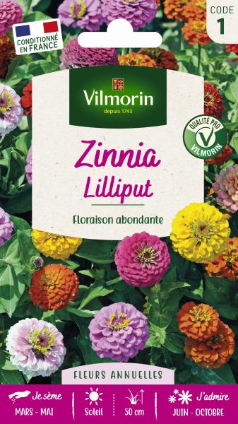 Fleurs - Zinnia Nain Lilliput - face recto